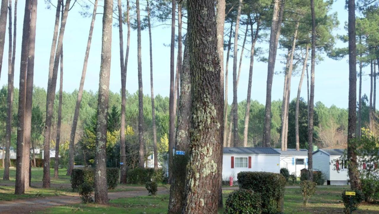 Mobil Home Rainbow, Camping Les Dunes De Contis Saint-Julien-en-Born Habitación foto